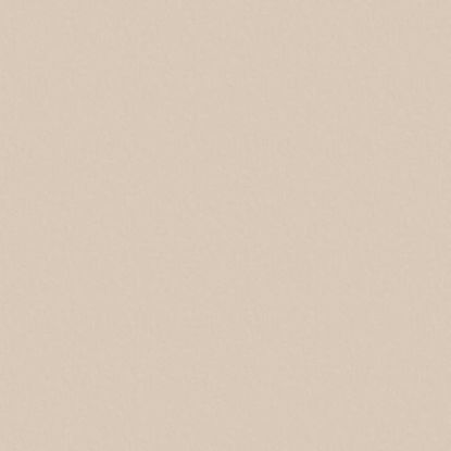 27045bs-ultrapas-sampanjec-vratni