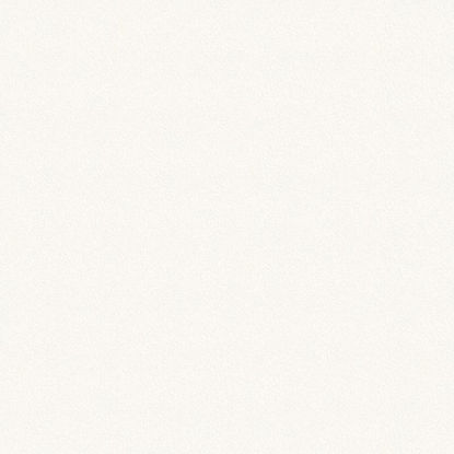 1570bs-trak-robni-abs-dollken