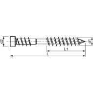 vijak-spax-d-50-70-delni-torx-a2