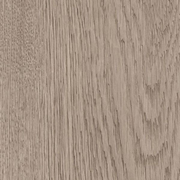k2418an-ultrapas-hrast-brera-terra