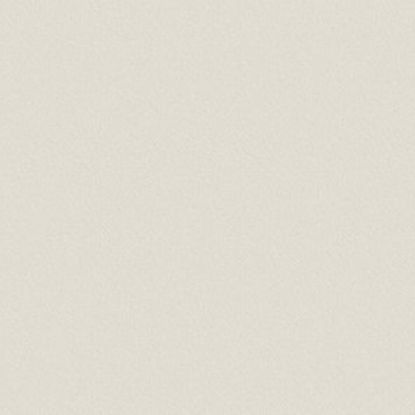 27060mn-iveral-megleno-siva-19mm