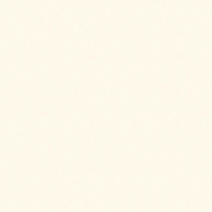 2109mn-iveral-slonova-kost-19mm