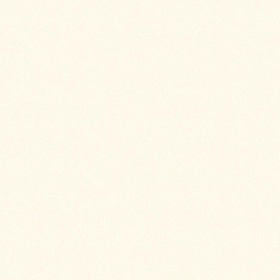 2109mn-iveral-slonova-kost-19mm