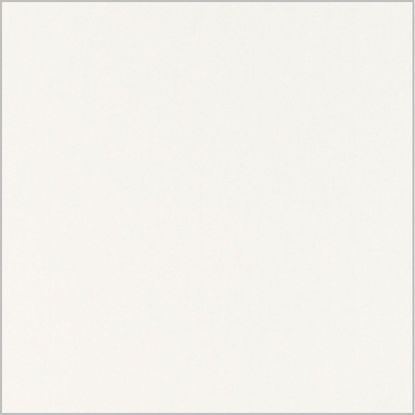 1101sm-iveral-bela-ral-9010-25mm