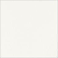 1101sm-iveral-bela-ral-9010-19mm