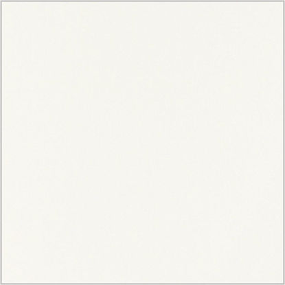 1101sm-iveral-bela-ral-9010-28mm