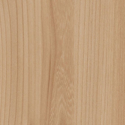 K2832AN IVERAL BREST ISAR  19mm