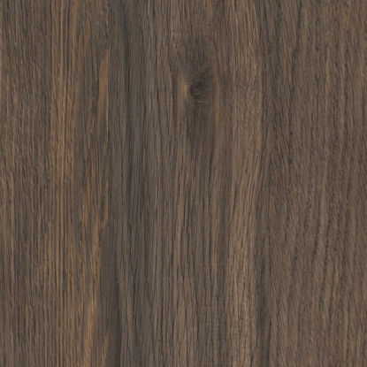 k2831an-iveral-hrast-pallidus-19mm