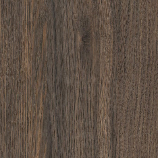 k2831an-iveral-hrast-pallidus-19mm