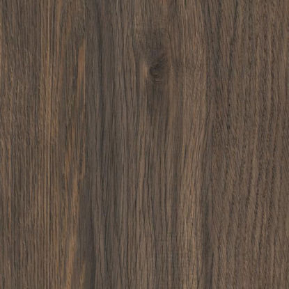 k2831an-ultrapas-hrast-pallidus