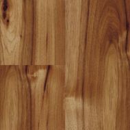 p80070hg-apsu-hickory-bravo-8mm