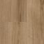 k4421ri-nt-hrast-evoke-trend-8mm