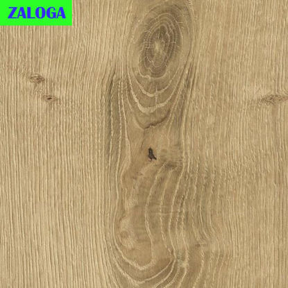 s341as-vinil-hrast-pisa-6mm-spc-pro