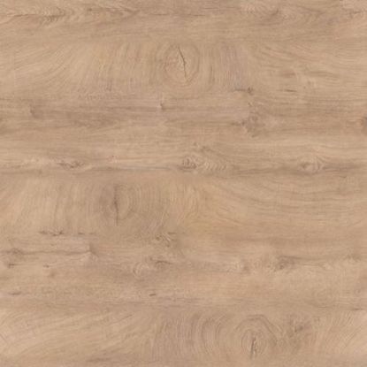 k5411ro-trak-robni-abs-dollken