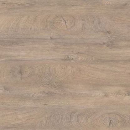 k5412ro-trak-robni-abs-dollken
