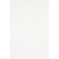 Uni Ice Polished SapienStone 12mm