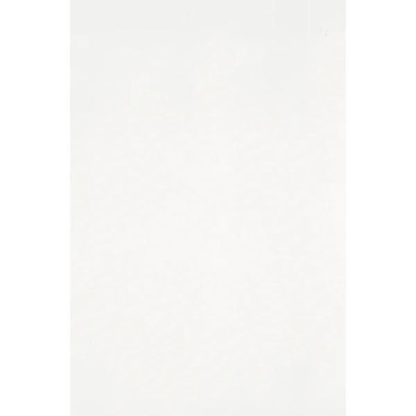 Uni Ice Polished SapienStone 12mm